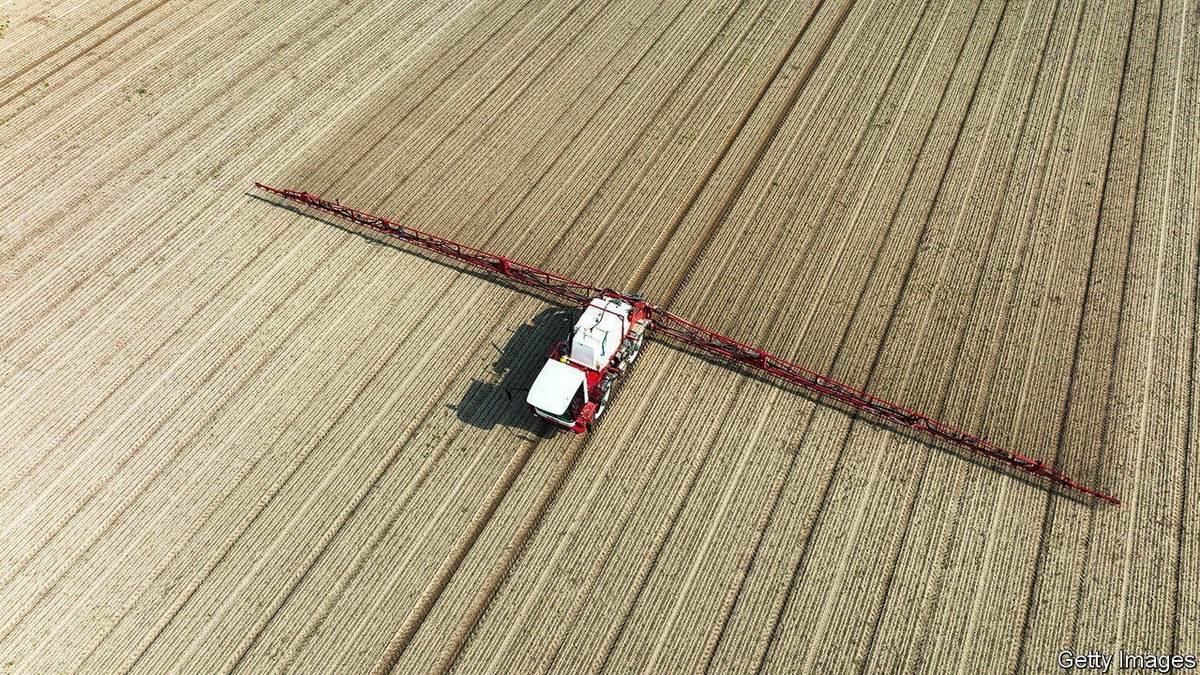 چرا قیمت کود در حال افزایش است؟ 