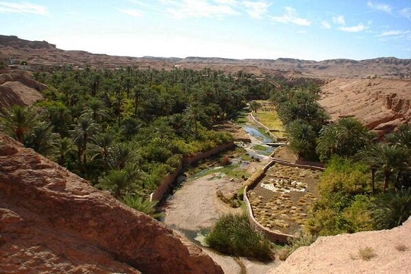طبس عروس کویر ایران / جاذبه‌های گردشگری بهشت زمین‌شناسی ایران