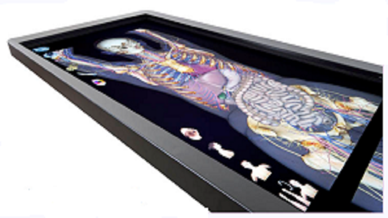 بومی سازی کالبدنما ایرانی برای اولین بار در ایران