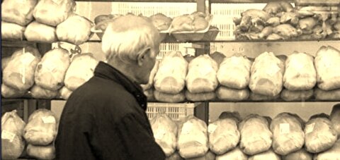 با حذف ارز ۴۲۰۰ تومانی، انتظار افزایش قیمت مرغ تا ۱۰۰ تومان وجود داشت / مقصر اصلی قیمت‌های نامتعارف در بازار مرغ، حذف حساب نشده ارز ترجیحی است