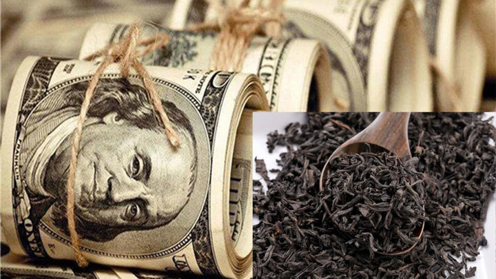 واکنش پارلمان‌نشینان به فساد بزرگ چای دبش؛ نمی‌گذاریم پول بیت‌المال از حلقوم اختلاس‌گران پایین رود/ برای دو قرص نان سامانه راه‌اندازی کردیم اما...