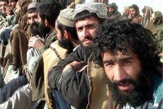  نماینده مجلس: بیش از ۲۰۰ هزار از اتباع بیگانه را در شیراز داریم