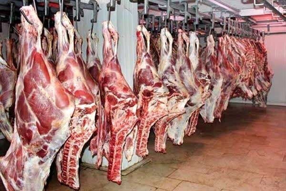 اتحادیه دام سبک کشور: افزایش قیمت گوشت در پی گرانی دلار / قیمت گوشت گوسفندی از ۵۰۰ هزار تا ۷۰۰ هزار تومان هم بیشتر خواهد شد