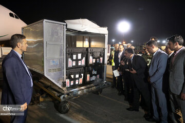  روایت وزیر سابق میراث از بازگشت الواح هخامشی: در دولت روحانی حکم مصادره الواح را شکستیم/ راهی جز بارگیری در هواپیمای رئیس‌جمهور نبود