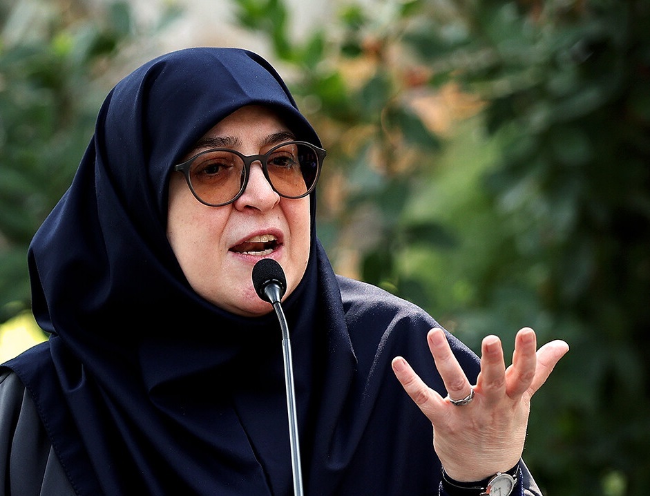  پاسخ سخنگوی دولت به ادعای شمخانی: اگر رئیس سازمان انرژی اتمی گفتند دامن نزنید، دامن نزنید
