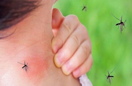  وزارت بهداشت: ۱۰۹۴ مبتلا به تب دانگ در کشور شناسایی شده‌اند / ۸۸۳ بیمار بدون سابقه سفر به خارج از کشور هستند؛ ۱۳ مورد در بندرلنگه و ۸۷۰ مورد در چابهار