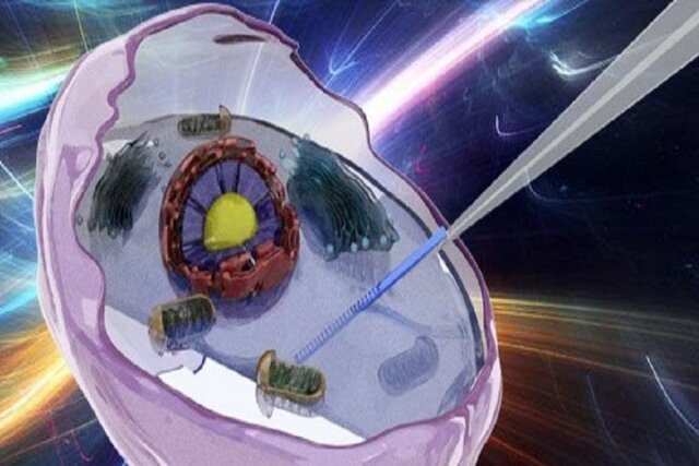 ساخت یک تجهیز کاربردی در صنعت پزشکی برای انتقال و دستکاری سلولی