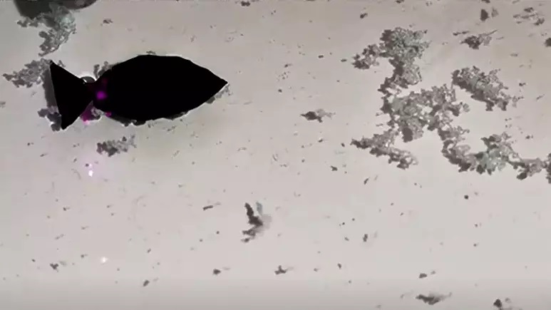  چینی‌ها با ماهی رباتیک پلاستیک‌خوار به جنگ آلودگی اقیانوس‌ها می‌روند