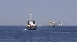 رونمایی از ۴ ناو جدید سپاه در رزمایش مرکب کمربند امنیتی ۲۰۲۴/ بالگردهای سپاه هم آمدند