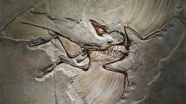 ۷ رکورد علمی که در سال ۲۰۲۱ ثبت شد