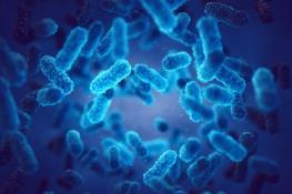 تحولی در شناسایی مولکول‌های زیستی با کمک گرافین