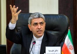  طیب نیا: فردی که در دوره خودش نامه زده بود که مشکلات با FATF را حل کنید، چرا حالا خودش مخالف اصلی است؟ / مگر ما می‌خواهیم قاچاق کنیم یا به تروریسم کمک کنیم؟  
