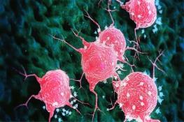  حمله پارتیزانی سلول‌های ایمنی بدن به تومور سرطانی با یک محرک نانویی