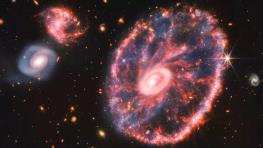  شباهت‌های جهان و مغز انسان؛ آیا کیهان هم فکر می‌کند؟