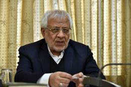  بادامچیان: شورای نگهبان، معصوم پانزدهم نیست/ احتمال اشتباه در یک جمع ۱۲ نفره فقیه و حقوقدان کم است اما ممکن است رخ دهد/ نقدها در فضای عالمانه بیان شود