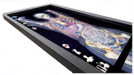 بومی سازی کالبدنما ایرانی برای اولین بار در ایران