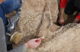  کشف قایق ۴ هزار ساله در صحرا