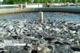  اعتصاب سراسری کارگران راه‌آهن ایتالیا در اعتراض به مزد