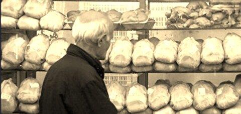 با حذف ارز ۴۲۰۰ تومانی، انتظار افزایش قیمت مرغ تا ۱۰۰ تومان وجود داشت / مقصر اصلی قیمت‌های نامتعارف در بازار مرغ، حذف حساب نشده ارز ترجیحی است