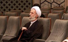 یاران مصباح یزدی در مجلس به دنبال حکومت اسلامی به جای جمهوری اسلامی؟ /رائفی پور مدل حاکمیت چینی را دنبال می کند