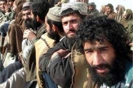  نماینده مجلس: بیش از ۲۰۰ هزار از اتباع بیگانه را در شیراز داریم