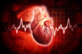 پیش‌بینی زمان ایست قلبی با کمک هوش مصنوعی