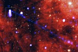 شناسایی پرتوی رکوردشکنی از ماده و پادماده