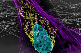 یک مدل رایانه‌ای که جهش‌های عامل سرطان را شناسایی می‌کند