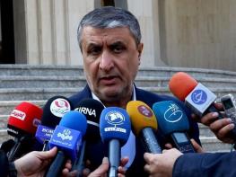  رئیس سازمان انرژی اتمی: سال جاری، سال پایان هیاهوهای سیاسی در ارتباط با برنامه هسته‌ای ایران خواهد بود / گفت‌و‌گوهای ایران و آژانس ادامه دارد