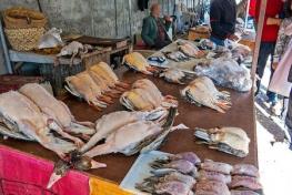  دستگیری ۱۲۱ شکارچی غیرمجاز در گیلان و مازندران