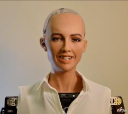 حضور ربات انسان نمای سوفیا در کنفرانس حسابرسان دبی