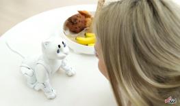 گربه رباتیک مبتنی بر هوش مصنوعی+تصاویر