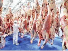 قیمت هر کیلو گوساله ۲۰۰ هزار تومان شد/ مقدسی: بالاتر از این قیمت، گوشت نخرید