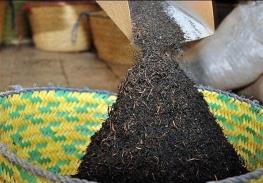  عضو کمیسیون کشاورزی: ۹۰ درصد فساد چای دبش مربوط به دولت جدید است/ مردم عصبانی هستند