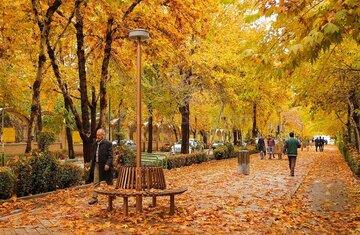  پاییز؛ تداعی‌کننده حال خوش یا افسردگی فصلی! چرا برخی عاشق فصل پاییز هستند؟