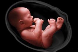  تصمیم «شوکه کننده» وزارت بهداشت / غربالگری جنین غیرممکن شد؟