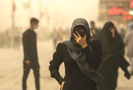  قانون هوای پاک در کما تهران و فقط ۱۵۰ روز هوای پاک در یک دهه/ قصور دستگاه‌ها در اجرای قانون هوای پاک مشهود است/ عدم اجرای قوانین نتیجه نظارت دولت بر دولت