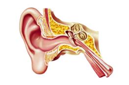 ایربادهایی که بیماری‌های گوش را تشخیص می‌دهند