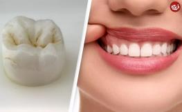 6 سال دیگر صبر کنید؛ دندان‌هایتان دوباره درمی‌آیند! 