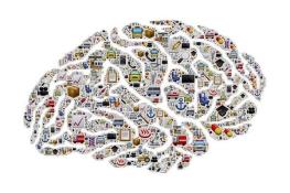 مغز چطور زباله‌هایش را دور می‌ریزد؟