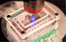 ایران در جمع کشورهای سازنده دستگاه تولید نانو دارو و واکسن‌های mRNA قرار گرفت