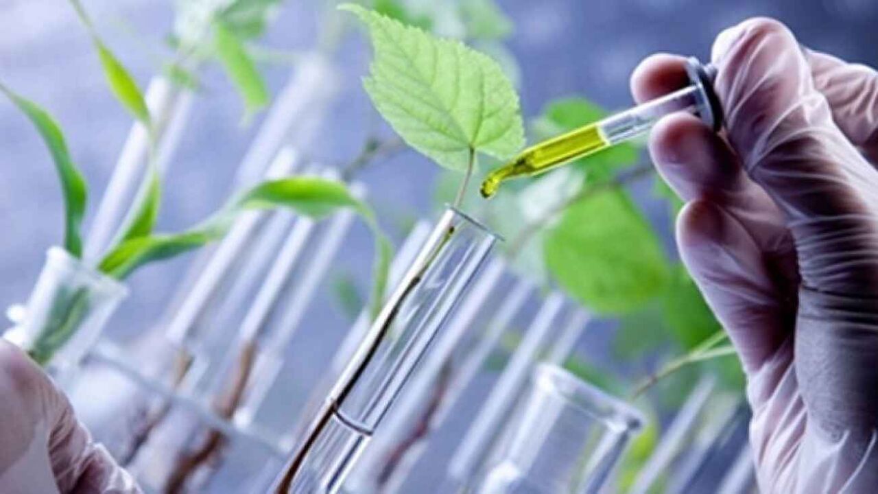 ۳۳ طرح پژوهشی تقاضامحور در حوزه زیست‌فناوری حمایت شد
