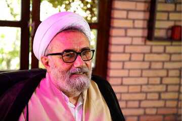 کنایه مسیح مهاجری به شورای نگهبان /اگر حکومت تجدید نظر بکند موفق می شود اما...