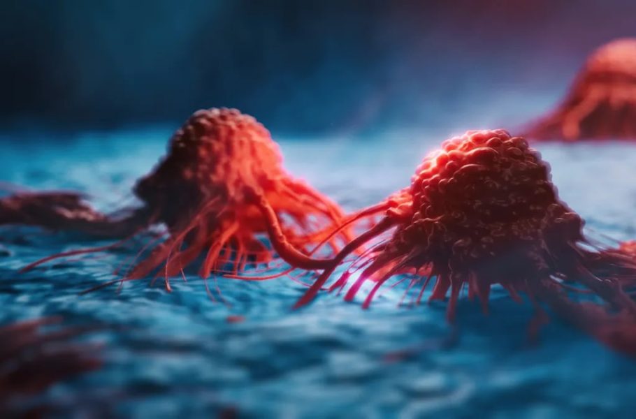  امیدی تازه برای درمان سرطان؛ واکسن mRNA تومور موش‌ها را از بین برد