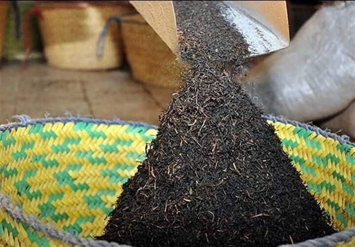  عضو کمیسیون کشاورزی: ۹۰ درصد فساد چای دبش مربوط به دولت جدید است/ مردم عصبانی هستند