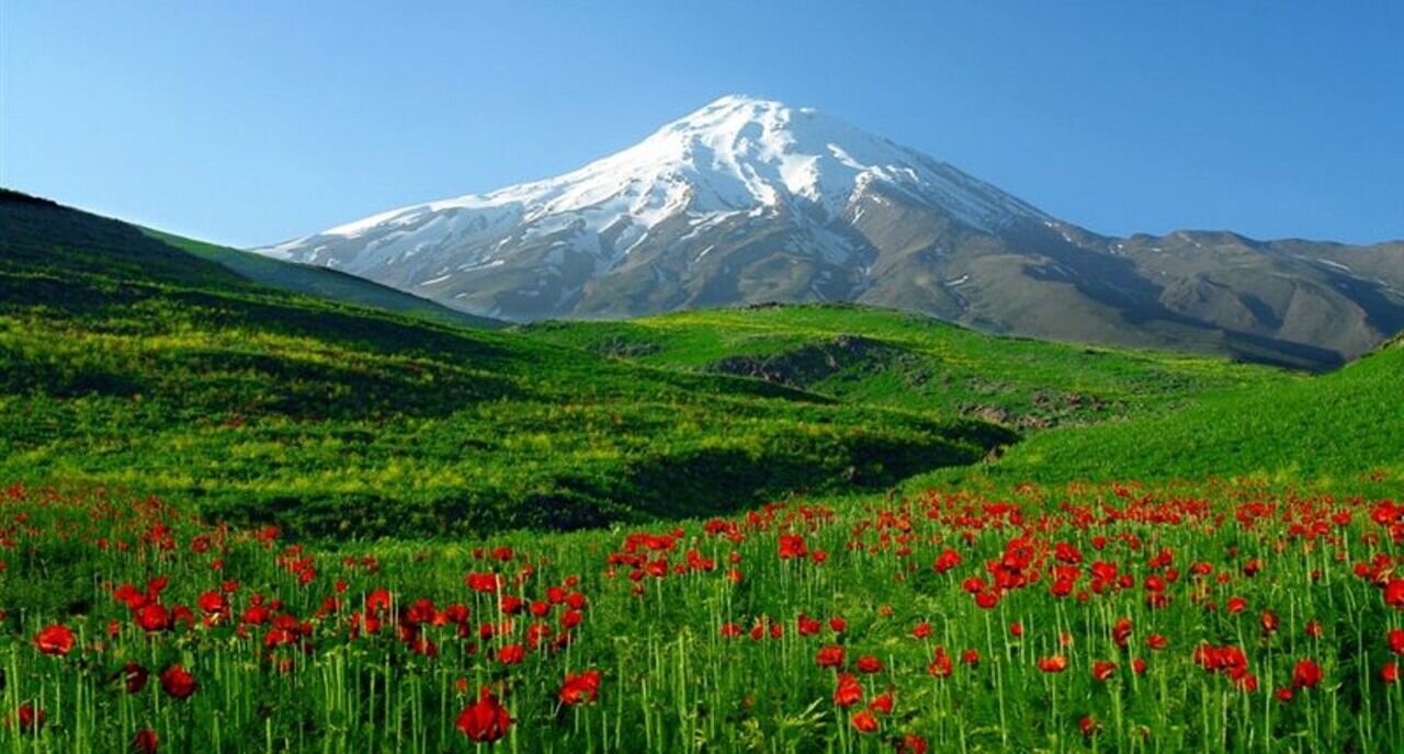  بهار و نوروز در نگاه چند شاعر ایرانی؛ از خاقانی تا سهراب سپهری بهاریه/ خون سیاوشان زد و چشمش روان برفت