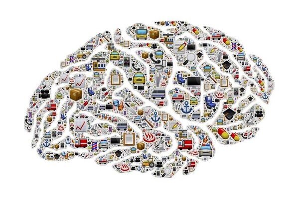 مغز چطور زباله‌هایش را دور می‌ریزد؟